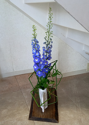 6月